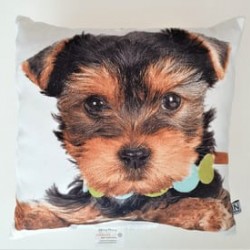 Perna decorativa Prieteni Caine