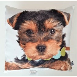 Perna decorativa Prieteni Caine