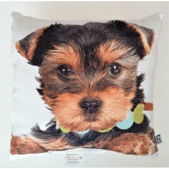 Perna decorativa Prieteni Caine