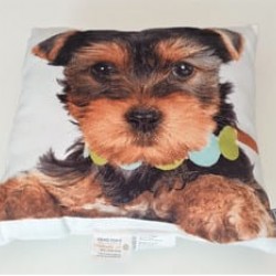 Perna decorativa Prieteni Caine