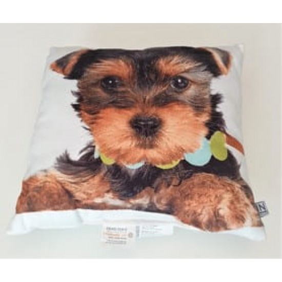 Perna decorativa Prieteni Caine