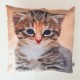Perna decorativa Prieteni Pisica