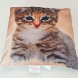 Perna decorativa Prieteni Pisica