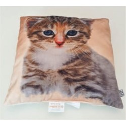 Perna decorativa Prieteni Pisica